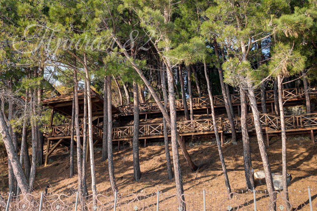 Ялта, шоссе Дражинского 26