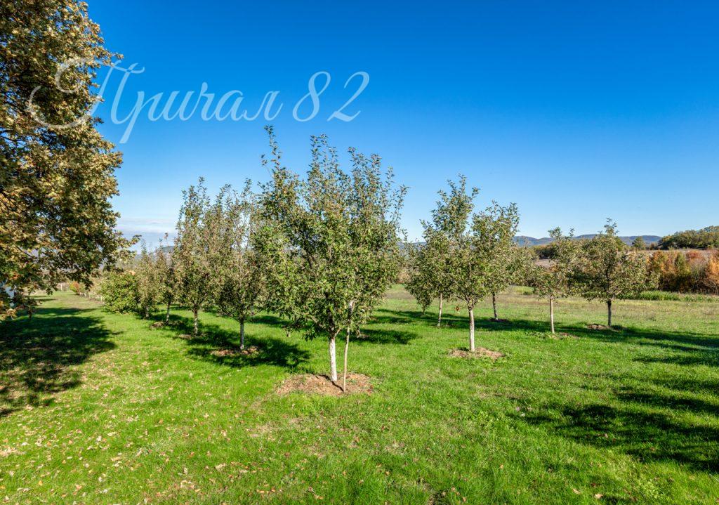 Севастополь, Байдарская долина, с. Подгорное