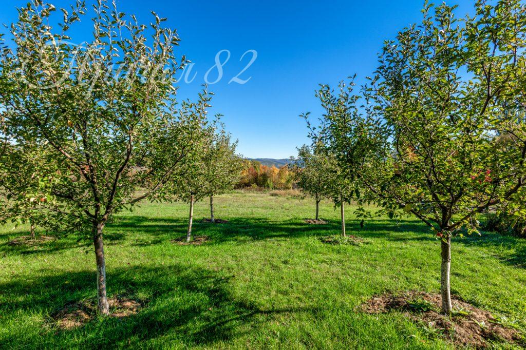 Севастополь, Байдарская долина, с. Подгорное