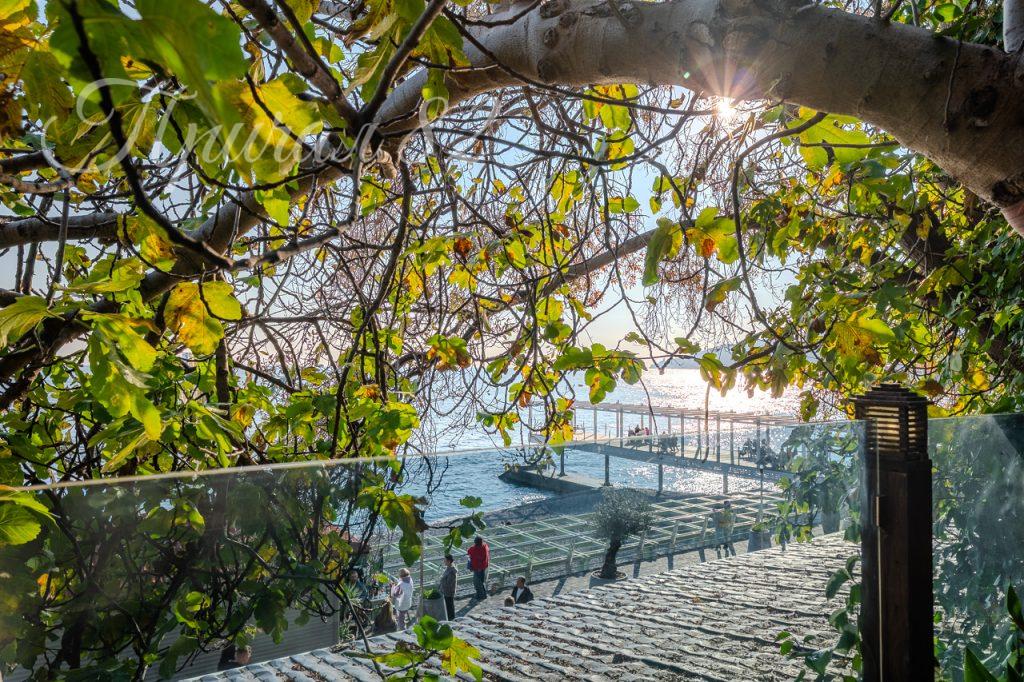 Ялта, ул. Массандровская д. 13