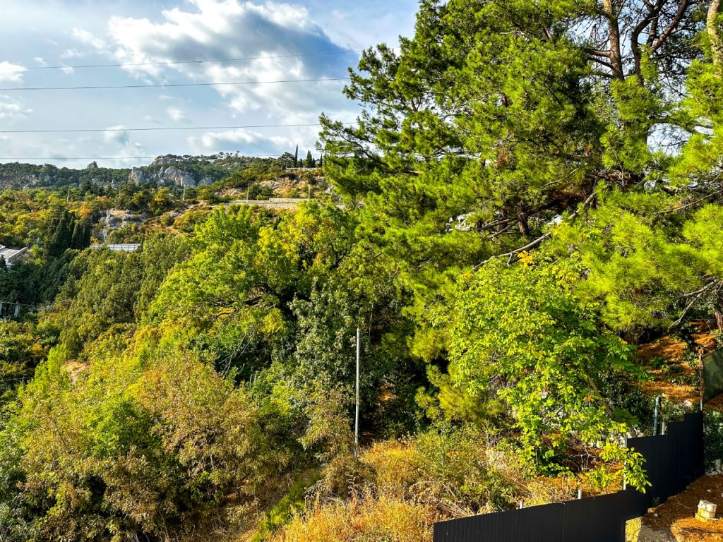 Ялта, Восход, Авроры