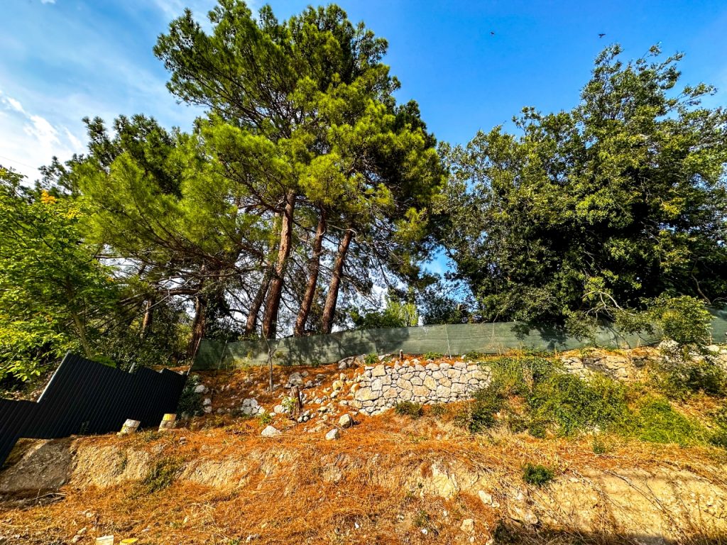 Ялта, Восход, Авроры