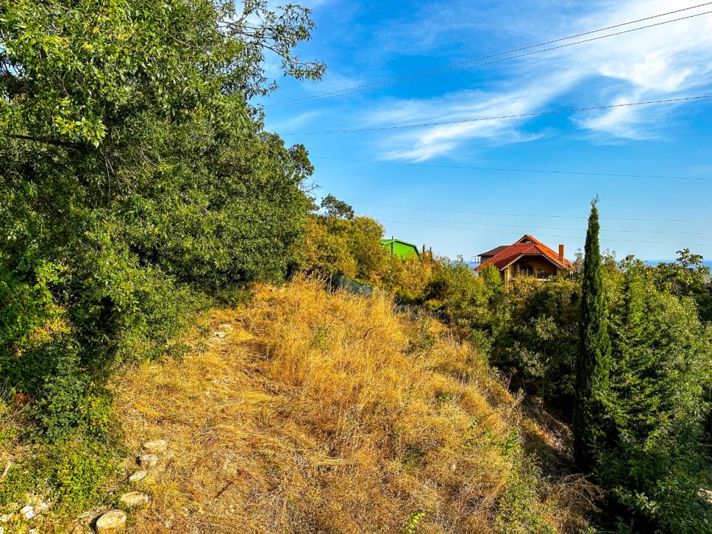 Ялта, Восход, Авроры