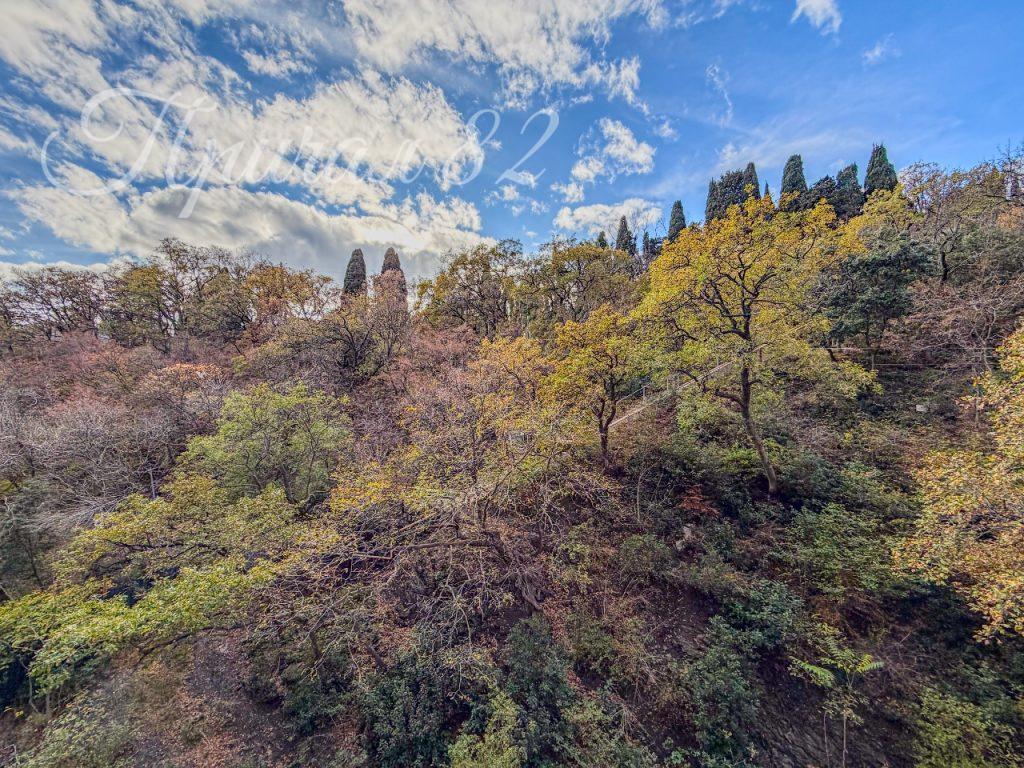 Республика Крым, Ялта, Парковый проезд 6Б