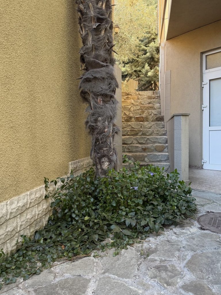 Республика Крым, Ялта, ул. Ломоносова 27