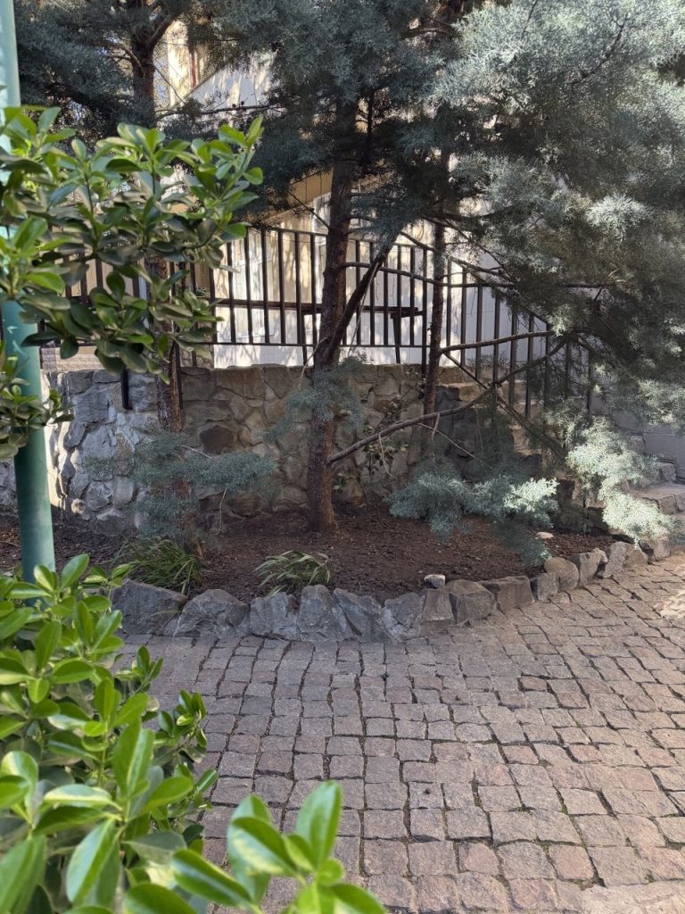 Республика Крым, Ялта, ул. Ломоносова 27