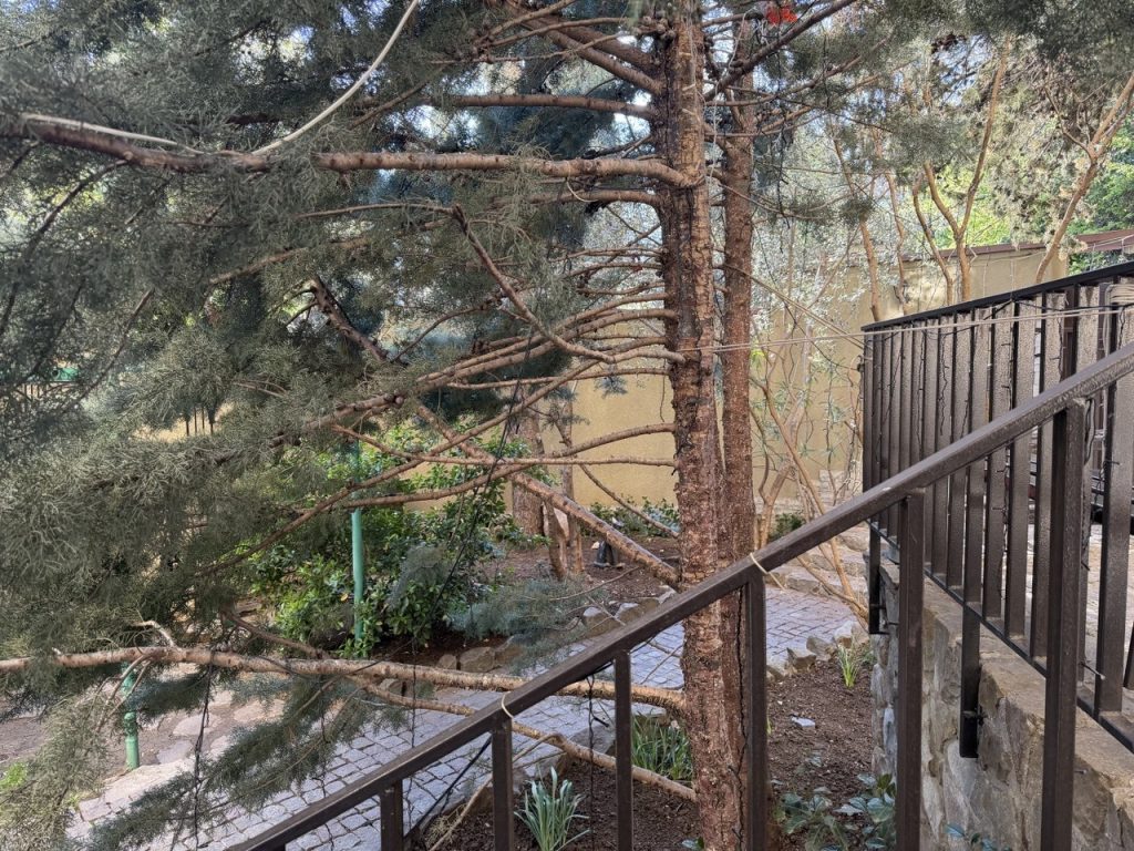 Республика Крым, Ялта, ул. Ломоносова 27