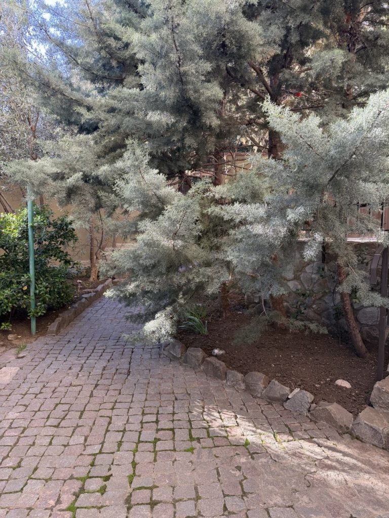 Республика Крым, Ялта, ул. Ломоносова 27